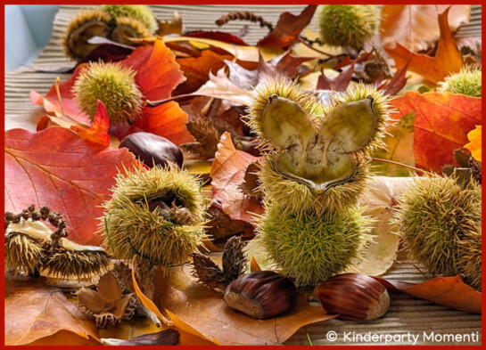 Herbst Naturmaterial - Blätter, Kastanien, Bucheckern