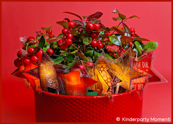 roter Blumentopf mit Scheinbeere Pflanze und ringsherum eine selbstgebastelte Sternen Lichterkette